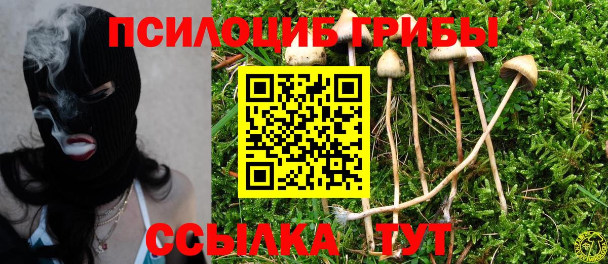Галлюциногенные грибы ЛСД  Вход с VPN  Сергиев Посад 